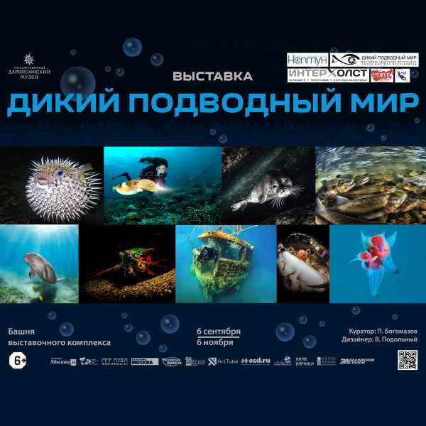 Выставка Дикий подводный мир