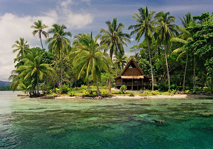 Дайвинг сафари по лучшим местам