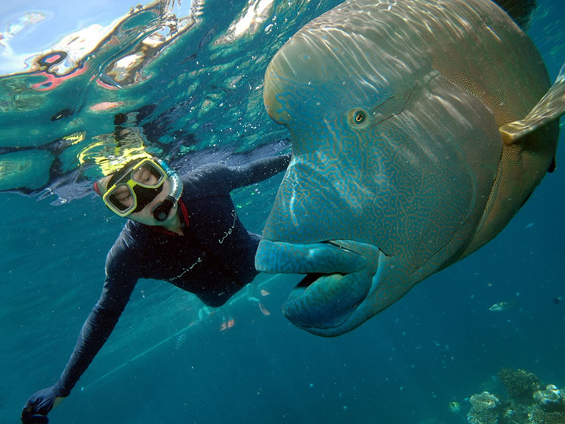 Экспедиция в сердце Индонезии: От залива Тритон до островов пряностей Амбон