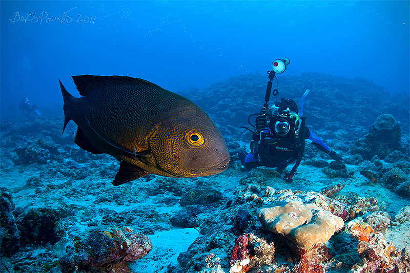 Первозданный Юг