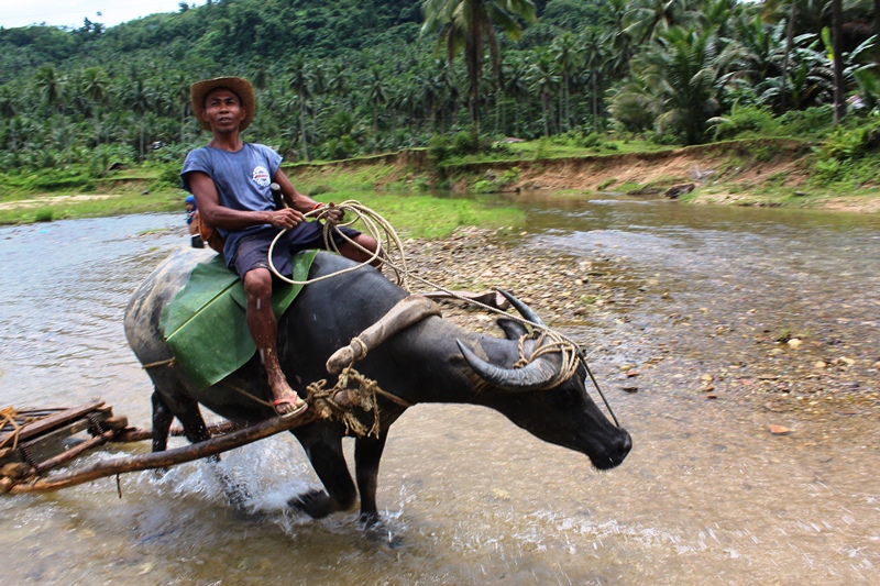 Незабываемые острова Миндоро и Верде и экскурсии по Пекину