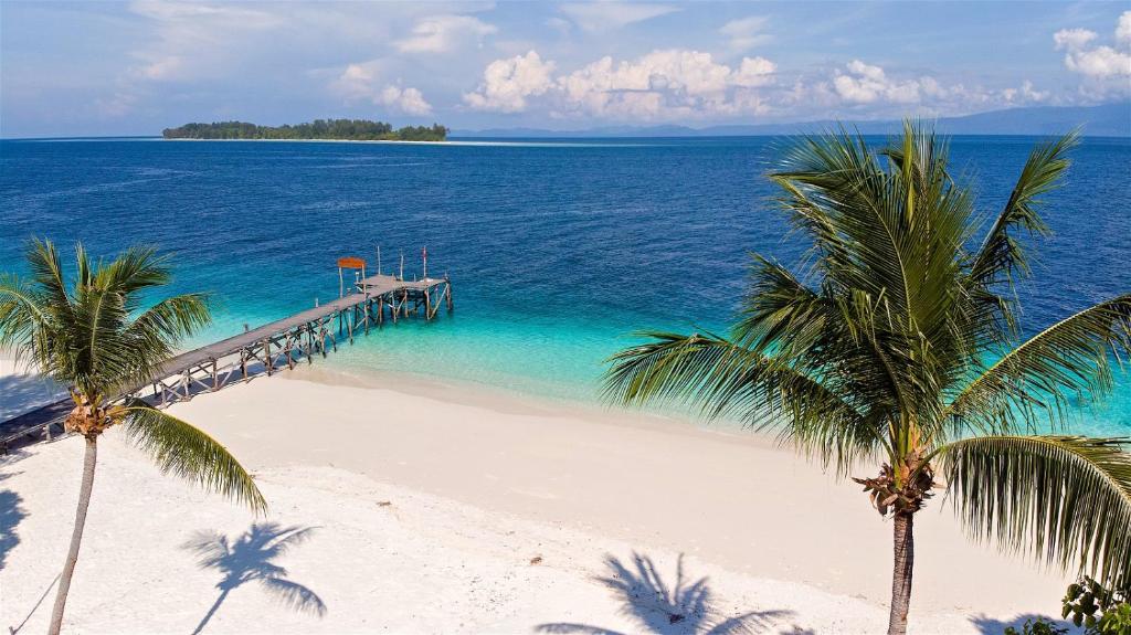 Отдых и дейли-дайвинг в Эко Спа Резорте в самом центре Раджа Ампата