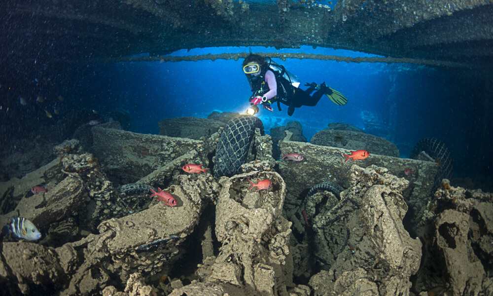 Лучшие рэки и рифы Красного моря