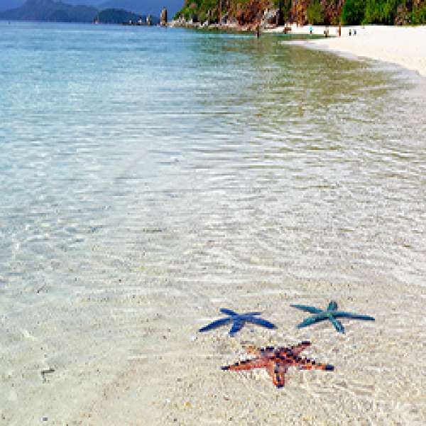 Дейли-дайвинг в роскошном СПА-отеле - 7 ночей удовольствия!