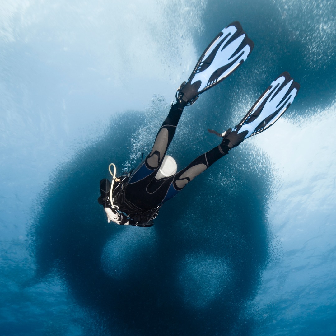 Дайвинг-сафари море Кортес. Косатки и летающие манты