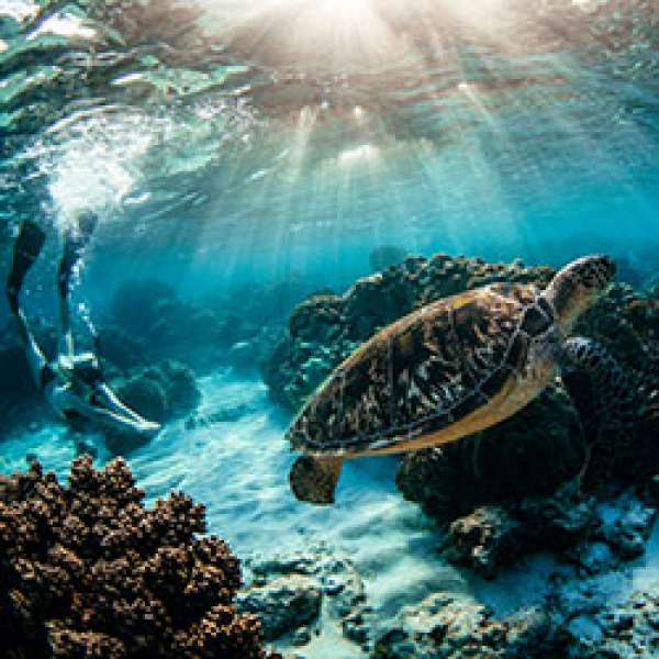 Дейли-дайвинг в роскошном СПА-отеле - 7 ночей удовольствия!