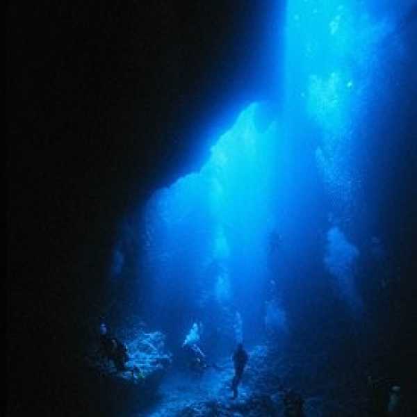 Удивительный мир Палау на борту Palau Aggressor II