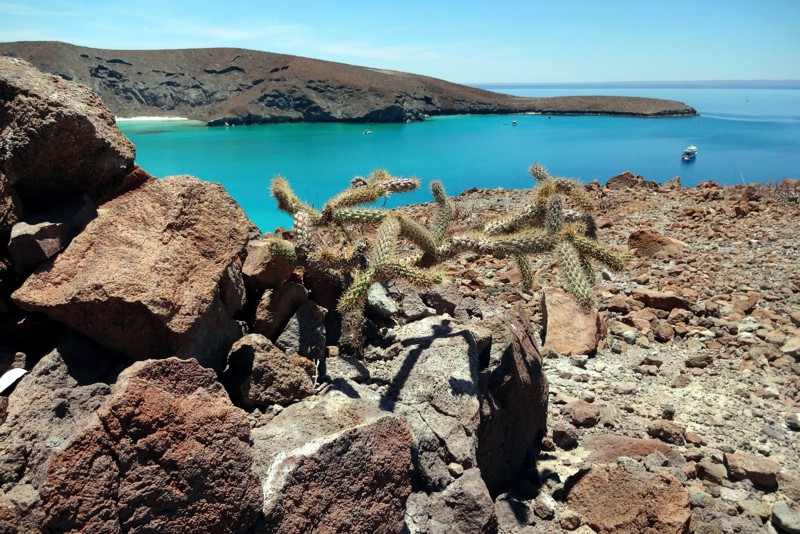 Сан Игнасио. Встреча с могущественными серыми китами