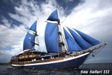 Sea Safari III