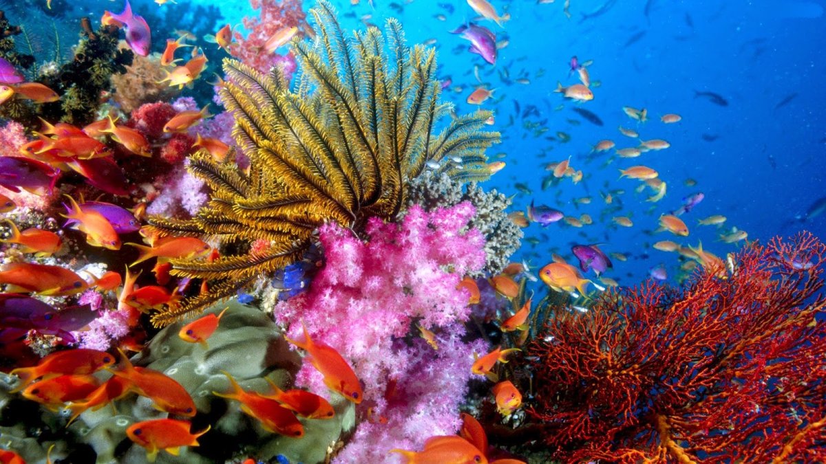 Незабываемые острова Миндоро и Верде и экскурсии по Пекину