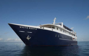White Manta New