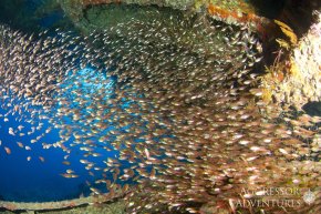 Северный маршрут - Тиран, Рас-Мохаммед