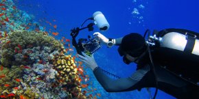 Курс SSI Photo & Video Подводная фотография и видео (Индивидуальный)