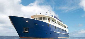 Blue Manta