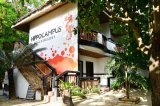 Hippocampus Beach Resort