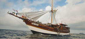 Amaya Explorer