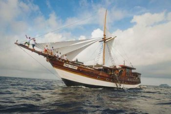 Amaya Explorer