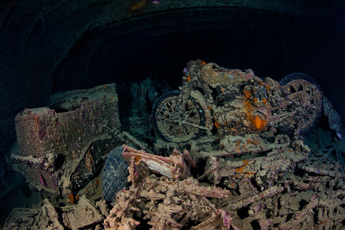 Лучшие рэки и рифы Красного моря