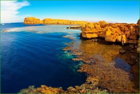 Клубный круиз по самым знаменитым рэкам Красного моря