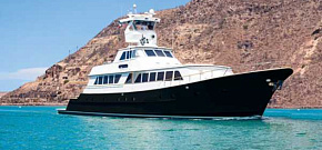 Nautilus Gallant Lady