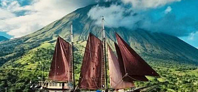 Adelaar