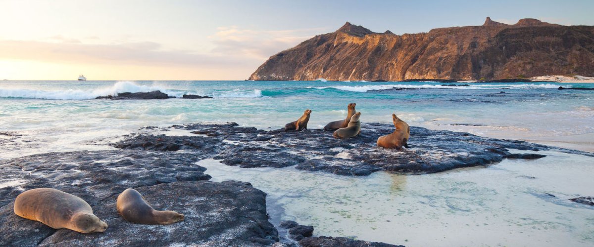 Галапагосы и острова Darwin и Wolf на борту Galapagos Aggressor III