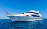 Golden Dolphin III