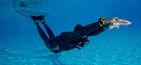 Базовый курс по фридайвингу SSI Basic Freediver (Индивидуальный)