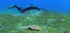 Курс SSI Advanced Open Water Diver Продвинутый дайвер в Подмосковье (Групповой)