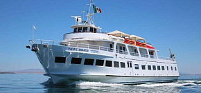 Pacific Monarch