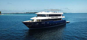 Arora Virgo