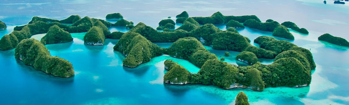 Дайвинг-сафари Удивительный Палау