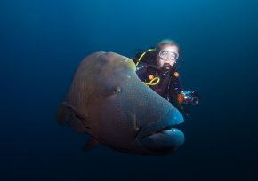 Маршрут Лучшее на Мальдивах на яхте класса люкс SCUBASPA. Дайвинг, йога и SPA