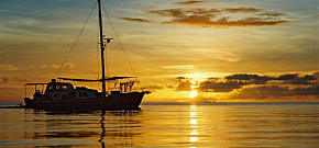 Ocean Hunter