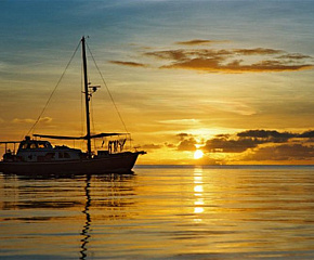 Ocean Hunter