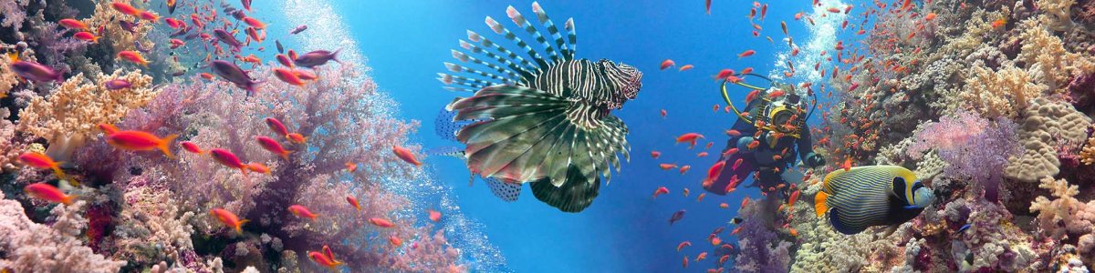 Подводная Египетская сила: от Бразерс через Дедалус до Эльфинстоуна