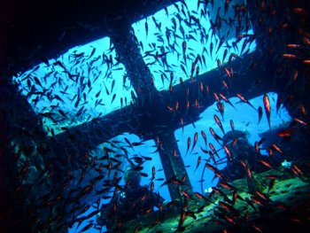 Затонувшие корабли и рифы в северной части Красного моря