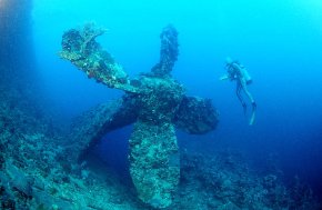 Большое путешествие по Красному морю 11 дней