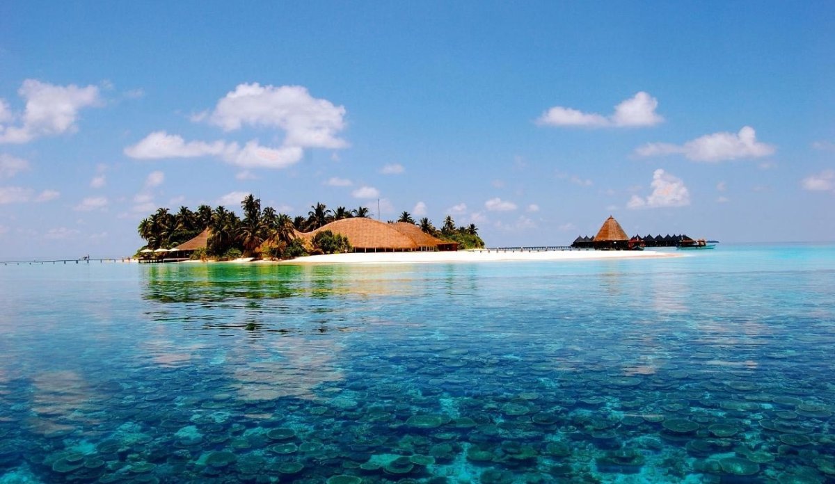 Первозданный Юг