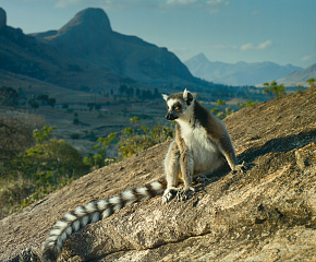 Путешествие на восток Мадагаскара - отдых и дайвинг на Носи-Бе