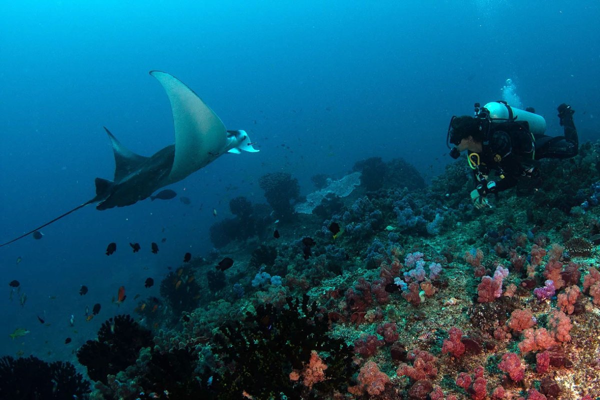 Дайвинг-сафари на яхте GALAPAGOS  MASTER + экскурсии в Перу 10 ночей