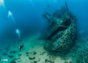 Лучшие рэки и рифы Красного моря