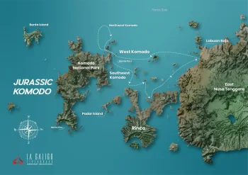 Комодо. Дайвинг сквозь века