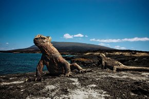 Рай на Галапагосах